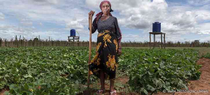 UN: Transforming How We Eat, ‘A Critical Accelerator’ To SDGs