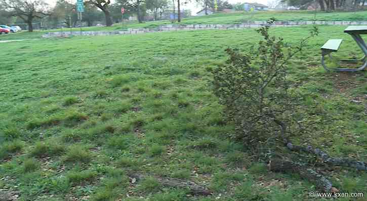 Concerns about loose, downed limbs ahead of Thursday's severe weather