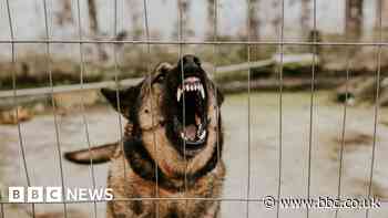 Dog attacks: South Yorkshire Police issue warning to owners