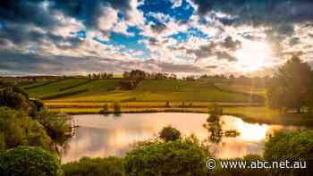 Well-known Tasmanian wine brand to be bottled interstate