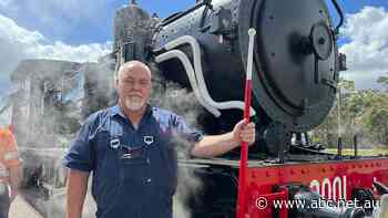 Workhorse 1900s steam engine back in service at Sydney museum after three-year restoration