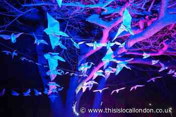 Thamesmead light festival to return with films and flash mob