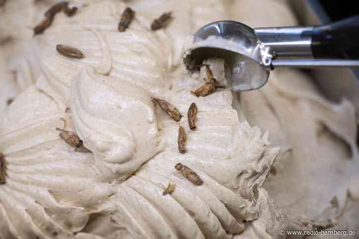 Krabbeltierchen mit Sahne? Eisverkäufer setzt auf Insekten