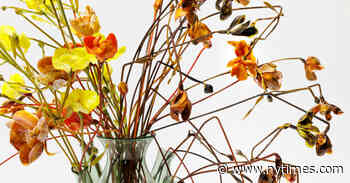 Art Rooted in Nature Blooms at TEFAF