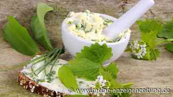 Endlich hat wilder Knoblauch wieder Saison: Machen Sie köstliche Bärlauchbutter einfach selbst