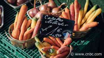 Euro zone inflation softens to 8.5% in February as ECB signals interest rate hiking is not over