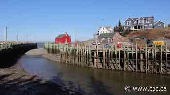 N.S. oceanside hamlet bands together to protect itself from climate change