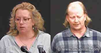 Prospect Heights candidates support home rule, but for one there's a catch