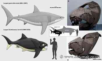 Prehistoric fish with a mouth twice as large as a great white ruled waters 360 million years ago