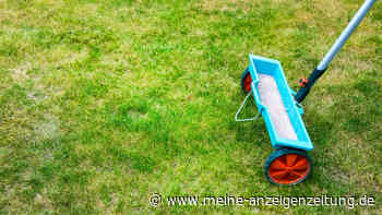 Zehn Gartenarbeiten, die Sie im Frühjahr erledigen müssen