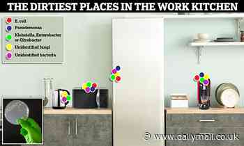 Dirtiest places in your work kitchen revealed by grim swabbing test
