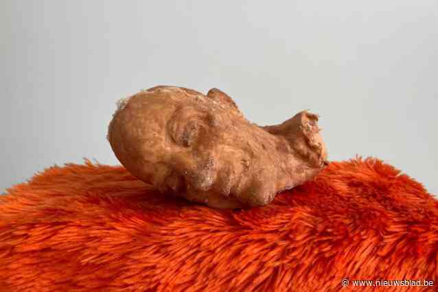 Kunstenaarscollectief Ondergrond toont zich in Hofke van Chantraine