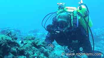 Researcher Attempts to Set World Record by Living at Florida Underwater Hotel for 100 Days