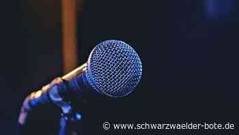 Bürgermeisterwahl  Ostelsheim: So läuft die Kandidatenvorstellung ab