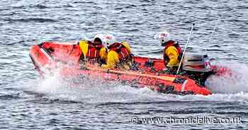 Lifeboat called out on north Northumberland coast as dog falls into harbour