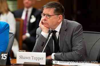 Canada Elections commissioner reviewing complaints related to foreign interference