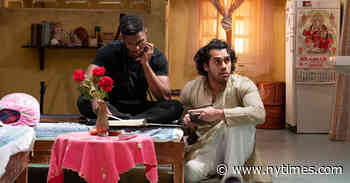 Review: ‘Public Obscenities’ Pushes Far Beyond One Field of Study