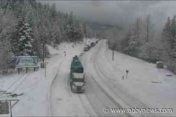 High avalanche risk closes Highway 1 between Revelstoke and Sicamous