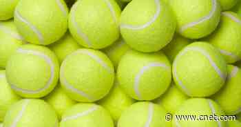 Best Tennis Balls of 2023     - CNET