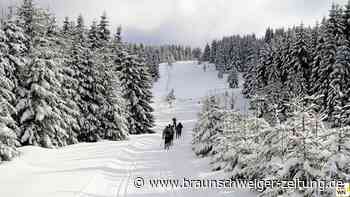 Harzer Tourismusbranche zunehmend unabhängig vom Winter-Geschäft