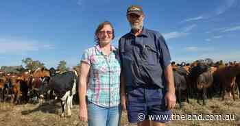 Irrigation key to Riverina life