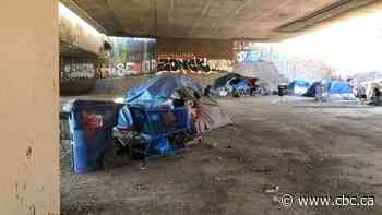 Federal housing advocate pushes back against Quebec plans to dismantle homeless encampment