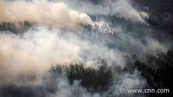 World's most northerly forests could be a planet-warming 'time bomb,' new study warns
