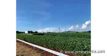 Bayer reúne representantes do agro para criar Clube da Inovação Soja e discutir desafios e oportunidades no desenvolvimento de tecnologias