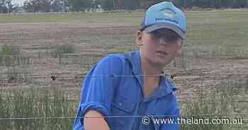 Fixing fences at Bedgerabong| Photos