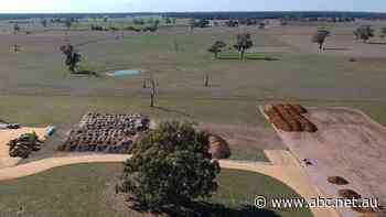 Rare earths essential for wind turbines, electric vehicles may soon be mined in SA