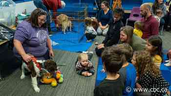 Puppy playtime at Thunder Bay's Brodie Street Library