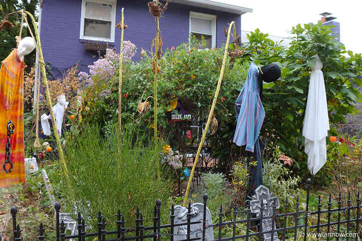 County Board shelves request from naturalists to specify what counts as a weed in local ordinances