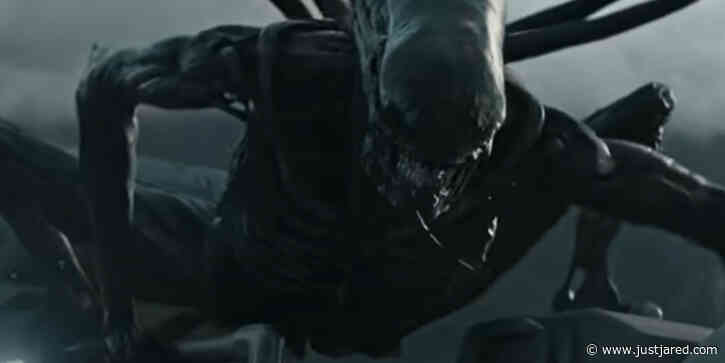 2 Stars Officially Confirmed for 'Alien' Reboot Movie!