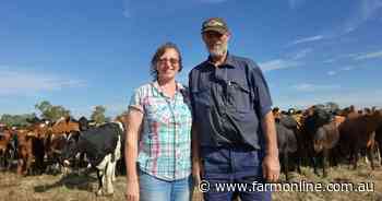 Irrigation boosts biodiversity, protects environment: Riverina dairy farmers