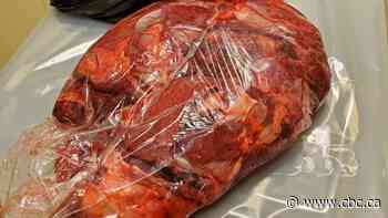 Southern Alberta man accused of slaughtering sick and injured cattle, selling uninspected meat