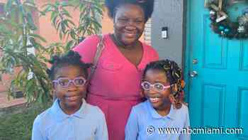 Forget a Village. Mom, Attorney Says It Takes a Nation State to Raise Twins