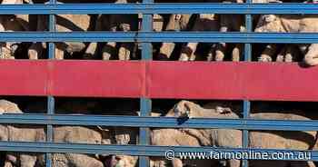 Live sheep export ban moves a step closer