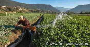 Overseas ag visa program an option