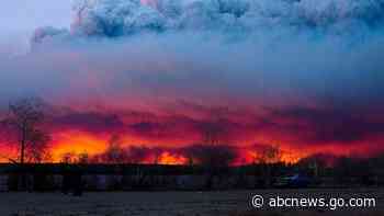 Carbon emissions from boreal forest fires rose in 2021