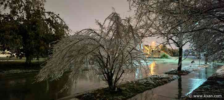 Pflugerville limb, brush drop-off sites no longer accepting debris