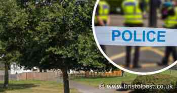 Urgent search for mum as baby found dead in South West heathland