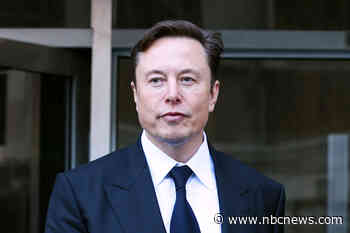 Chinese state-linked paper lashes out at Elon Musk over lab leak theory