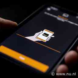 DigiD-problemen na 2 dagen voorbij: iedereen kan weer belastingaangifte doen