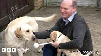 Britain's guide dog shortage: Volunteers increase after BBC story