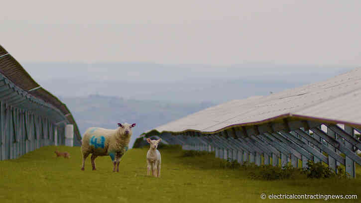 Octopus Energy strikes solar supply deal with Iceland