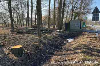 Emotionen um Bäume kochen hoch