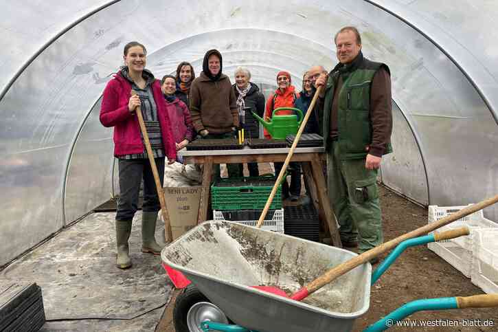 Fürs Gemüse und Obst selbst auf dem Feld mit anpacken