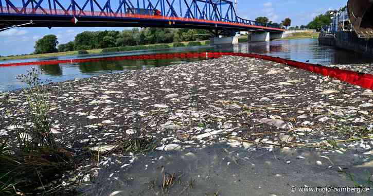 Bergbaukonzern weist Vorwürfe zu Oder-Fischsterben zurück