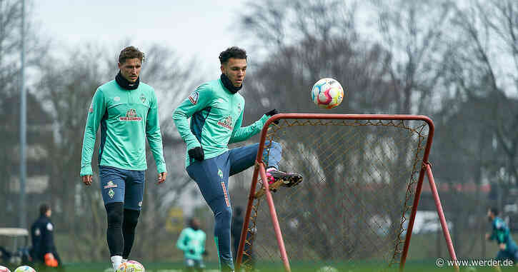 Niklas Stark und Lee Buchanan verpassen Auswärtsspiel beim FC Augsburg