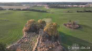 Hamilton can meet housing targets without opening greenbelt lands, urban boundary: report